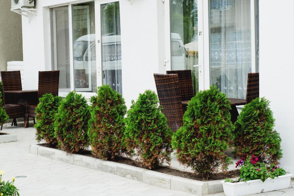 Vip Hotel Kobleve Kültér fotó